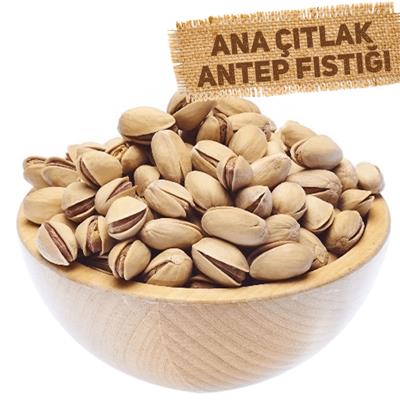 Ana Çıtlak Antep Fıstığı